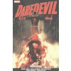 Daredevil Back In Black Vol. 2
