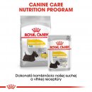 Krmivo pre psa Royal Canin Mini Dermacomfort 2 kg