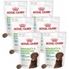 Royal Canin Puppy Immunity & Digestion Chews 6x100g