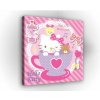 Obraz na plátne štvorec - OB2141 - Hello Kitty 80cm x 80cm - O2