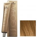 Schwarzkopf Igora Royal Absolutes 7-50 stredná blond zlatá prírodná 60 ml