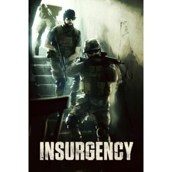 Insurgency