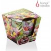 Bartek Candles Fruitful Delight - Tropical Salad 115 g