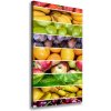 Vertikálny foto obraz na plátne Farebné ovocie 50x100 cm
