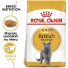 ROYAL CANIN British Shorthair Adult 2 x 10 kg granuly pre britské krátkosrsté mačky