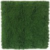 Moss dark green 2, dielec 50 x 50 cm (Realistická imitácia machu)