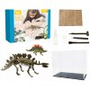 Fosílie Sada malého paleontológa Stegosaurus Vykopaliska Dinosaurus