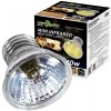 Repti Zoo Mini Infračervená lampa 40W