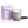 Max Benjamin MAX BENJAMIN - SVÍČKA 210 g - True Lavender