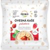 PROBIO Kaša ovsená jahodová BIO 65 g