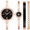 Darčeková sada hodiniek Anne Klein Darčeková sada hodiniek AK/3290BKST (AK/3290BKST)