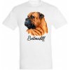 Bullmastiff s vlastným menom