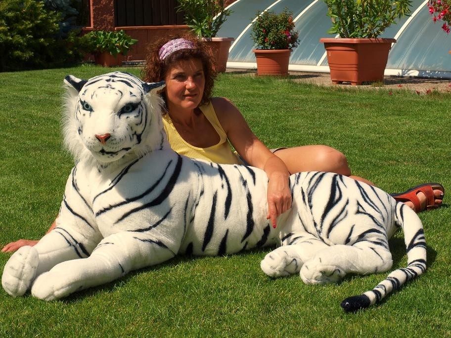 Obrovský tiger ležiaci dĺžka biely 200 cm
