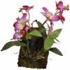Lucky Reptile Jungle Plants Závesná orchidea purpurová 20x30 cm purpurová cca 20x30 cm