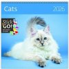 Cats nástěnný 2026