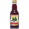 Beutelsbacher BIO 100% šťáva černý rybíz Beutelsbacher 0,2 l