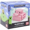 Minecraft - Pig Bath Duck