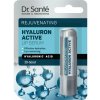 Dr. Santé Hyaluron Active balzam na pery - 3,6 g