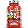 Amix Nutrition Amix TribuLyn™ 90% Max 90caps Caps: 90 kapsúl