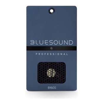 Bluesound Professional B160S