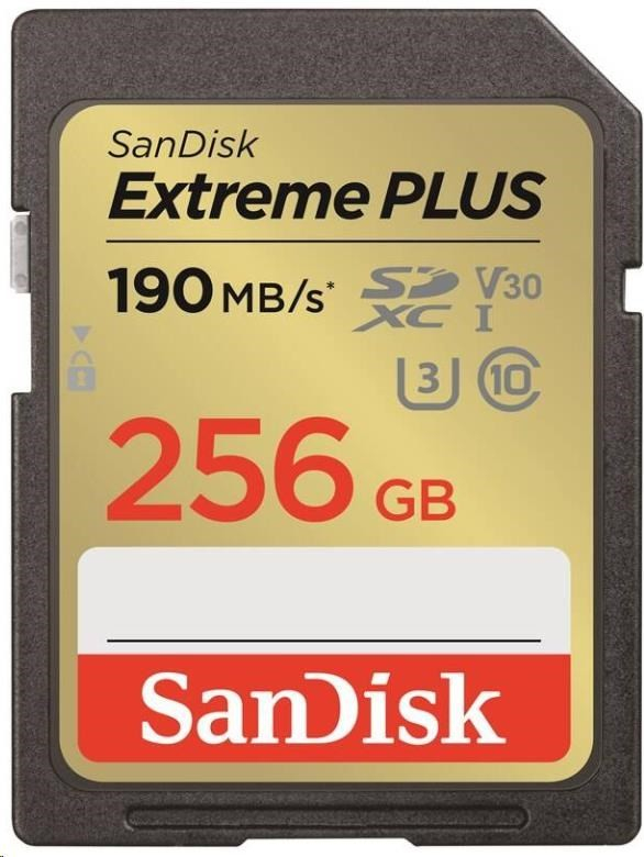 SanDisk SD 256 GB V30SDXWV-256G-GNCIN