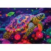 Alipson Puzzle - Puzzle Dúhová korytnačka - 500 dielov