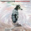 Pure Reason Revolution: Coming Up To Consciousness - CD