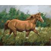 Zuty – Maľovanie Podľa Čísel – Hnedý Kôň Na Pastvine Pri Lese, 80 × 100 cm, Plátno + Rám 8596530077350
