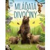 Mláďatá divočiny - autor neuvedený