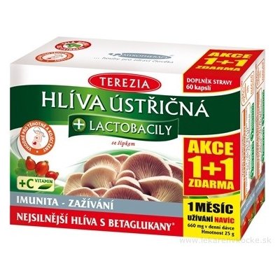 TEREZIA HLIVA USTRICOVITÁ + LAKTOBACILY so šípkami (AKCIA 1+1), cps 60+60 zadarmo (120 ks)