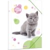 Ars una Zložka na zošity Cute Animals mačka A4