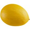 Melón medový Bimbo F1 - Citrullus Lanatus - semená - 6 ks