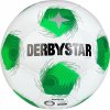 Derbystar Derbystar Apus TT DB v Training Ball