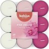 Bolsius Tealight True Scents Magnolia 18 ks