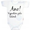 Body kr. rukáv s vtipným textom Baby Nellys Ano vypadám jak tatínek kluk