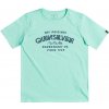 Quiksilver Youth Wilder Mile Tee Cabbage
