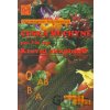Česká kuchyně pro Váš typ (Krevní skupina 0) - Olga Mengerová, Pavla Momčilová