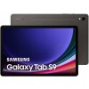Samsung Galaxy Tab S9 5G SM-X716BZAEEUB