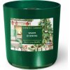Bartek Candles Warm Evening sviečka 150g