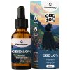 Canntropy CBD Konopný Olej 10% 1000mg 10 ml