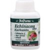 MedPharma Echinacea 600 Forte + kurkumín + vitamín C + bez čierny + zinok 67 tabliet