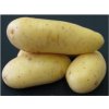 Zemiaky MARABEL sadbové žlté skoré 5kg