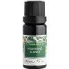 Nobilis Tilia Éterický olej Pomaranč, sladký 10 ml