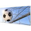 Obraz plexi Lopta mriežka neba 100x50 cm