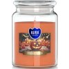 Aura Bispol Halloween vonná sviečka 500g
