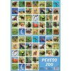 Deny Pexeso ZOO