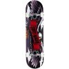 Tony Hawk Wingspan Special