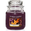 Yankee Candle Autumn Glow 411 g