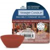 Yankee Candle Autumn Daydream vonný vosk 22 g