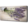 Foto obraz na plátne do obývačky Levanduľa v kvetináči 100x50 cm